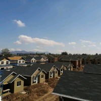 ANDRES JUSTINO MEZA CABEZAS