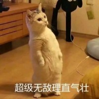 魏义德