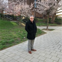 Omer Mercimek