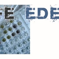 Life Edesia