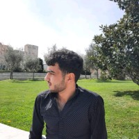 Raul Aliyef