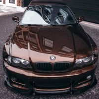 Silvija Petrauskaitė