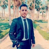 Tarek Nabil Hassan
