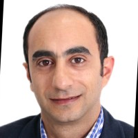 Amr N. Abdelaziz