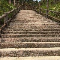 杨连富
