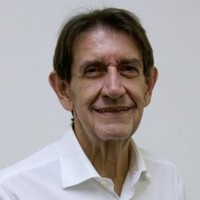 Flavio de Almeida Pires