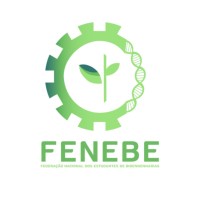 - Fenebe -