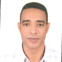 Ahmed Hamed
