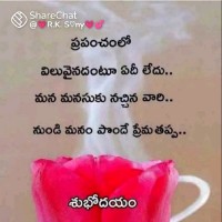 Shareef Shaik