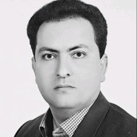 Mohamad Fanaei