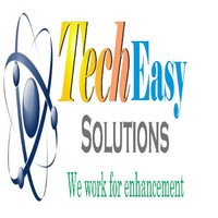 Tech Easy Solutions Pvt Ltd