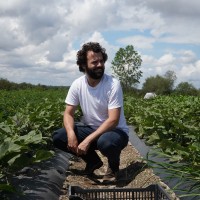 Fernando Usera Rodés