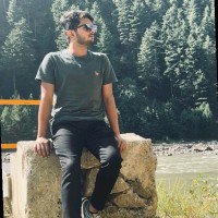Ali Raza
