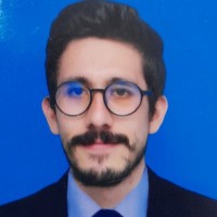 ANDRES SANTIAGO CASTILLO ARDILA