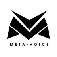 Meta Voice LLC