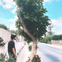 Andrii Makeev
