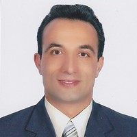 Hamid R. Hosseini