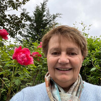 Brigitte de Perthuis