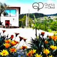 Quinta do Olival Olival