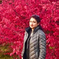hetal S