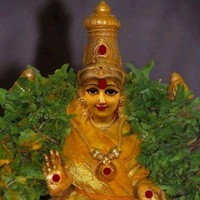Srinivasareddy K