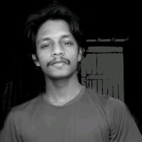 Vishnu P