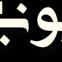 Lounas Ayouni