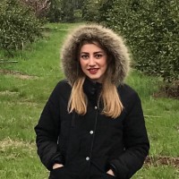 Fateme Khorshidian