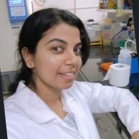 Sruthi K.K