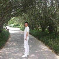 张天旭