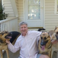 greg stewart
