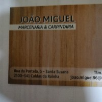 Joao Filipe Marques Miguel