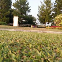 Faezah Shafiqah