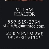 Vi Lam