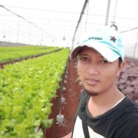 Ciptadi Ciptadi