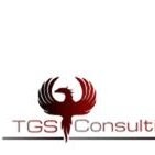 Tgs Consulting