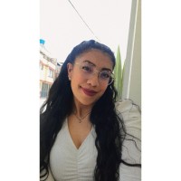 Laura Dayana Colmenares Sepulveda