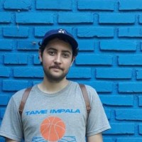Felipe Zanella Dutra
