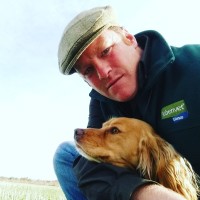 Tim Weston