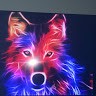 neon wolf