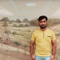 Rameez Saeed