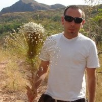 Alexandre Cavalcante
