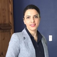 Mehrnaz Kameli