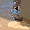 Mun Neko