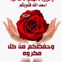 Dr. Abeer