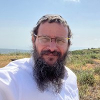 Dado Albahari