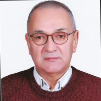 haluk büyükdığan