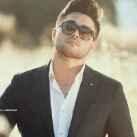 وسيم عباس