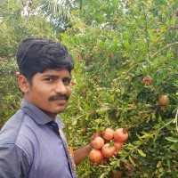 Siva Ganesan.V