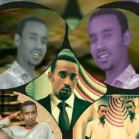 Bereke Bereket